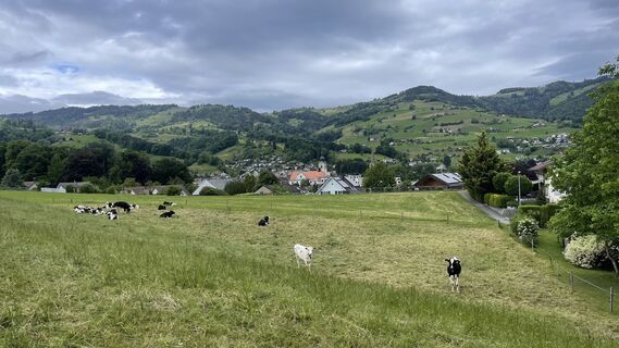 Foto von Lis Malzach entlang der Tour