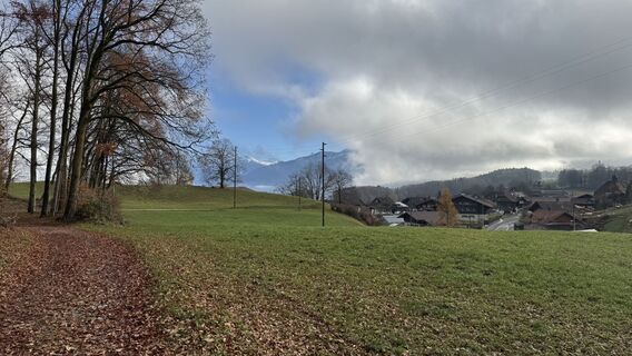 Fotografija s spletne strani peter_oe na poti