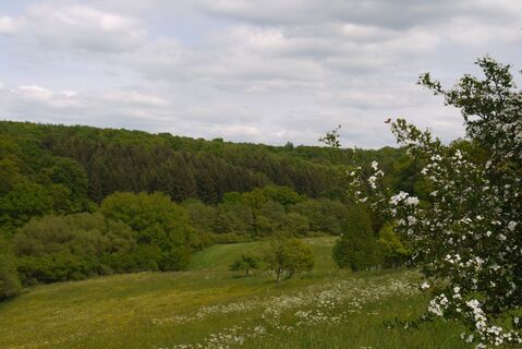 Blick in Richtung Habenscheid
