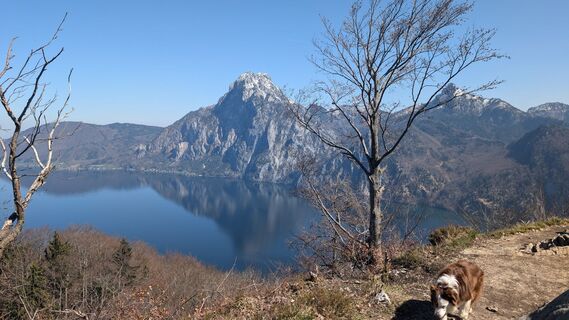 Fotografie de la Klaus Lehner de-a lungul turului