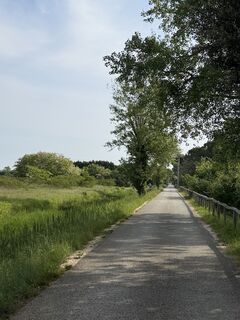 Photo de Christian Mark le long du parcours