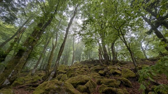 Photo de Richard Schwald le long du parcours