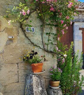 Jugazan_©Office de Tourisme Castillon-Pujols_MS 2023 (16)