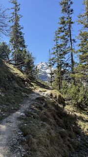 Photo de Tommax le long du parcours