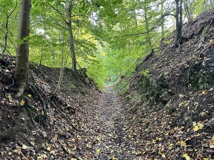 Zdjęcie z Norbert Herbig wzdłuż trasy