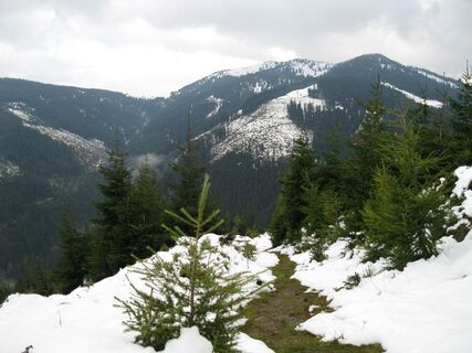 Mödlinger Hütte - Bosruckhütte
