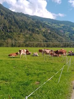 Foto von Mario entlang der Tour