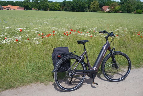 Radfahren in der Mittelweser-Region
