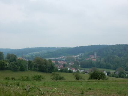 Aussicht auf Bödigheim