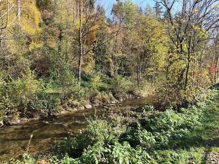 Foto från Barbara Galle under resans gång