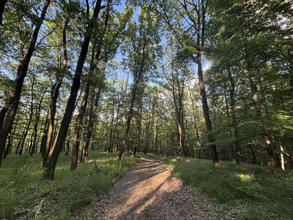 Photo de Reti Alicia le long du parcours
