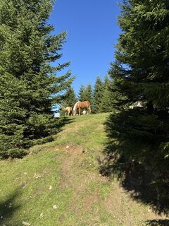 Photo de Sebas Eijsbouts le long du parcours
