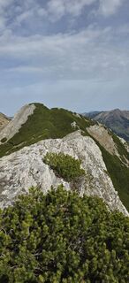 Fotografia z Marko Adrian na trase