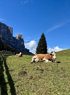 Foto von Irene Duitshof entlang der Tour