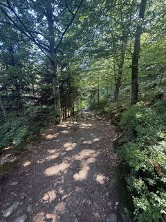Foto de Mirvana Bashar a lo largo del recorrido