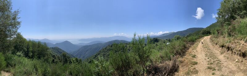 Fotó a Koen De Wit honlapról a túra során