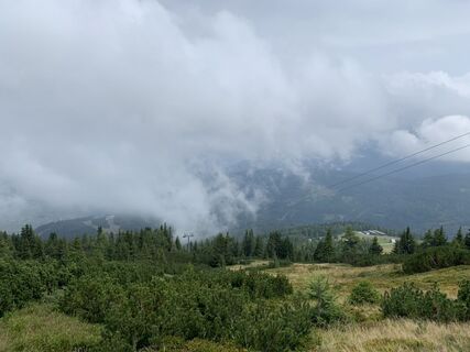 Fotografija s spletne strani Koen De Wit na poti