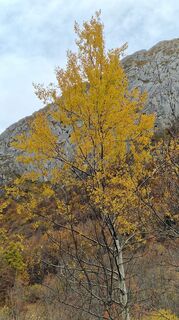 Foto von Fabrizi Mellano entlang der Tour