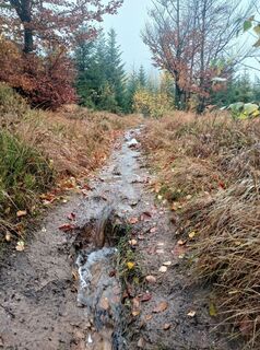 Foto de Daniel Kremiec a lo largo del recorrido