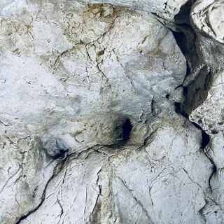 Foto de Bacskai János a lo largo del recorrido