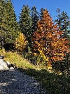 Foto von Mario Lackmaier entlang der Tour