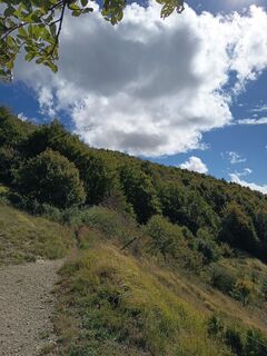 Photo de Aner le long du parcours