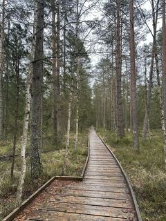 Foto de Babs Holz a lo largo del recorrido