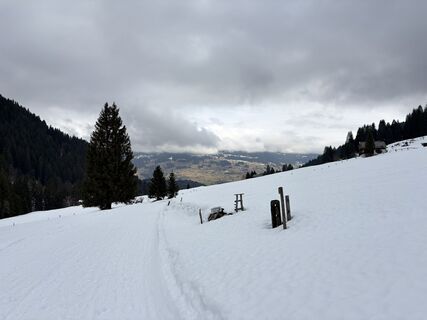 Foto von Ing Saša Djordjević MA entlang der Tour