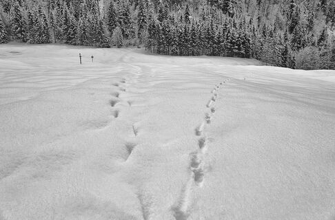 Schmugglerweg Kössen