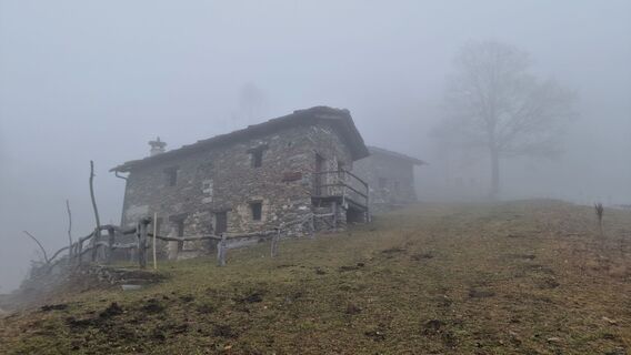 Foto van Fabrizi Mellano langs de tour