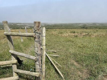 Photo de Florian Brandt le long du parcours