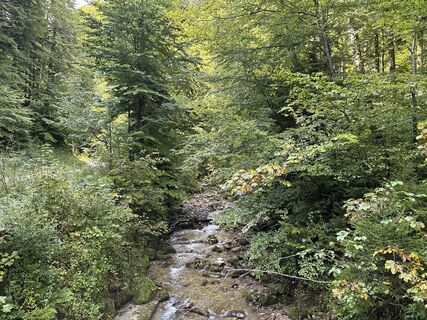 Fotografia z Heinz Sperl na trase