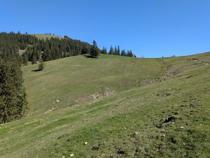 Foto von Eva Oppermann entlang der Tour