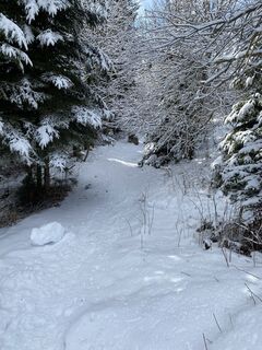 Foto von Marietta entlang der Tour