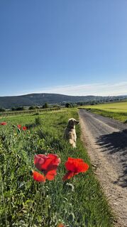 Foto von Claudia Maurer entlang der Tour