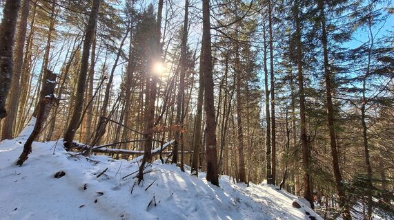 Foto von Regina Fleischmann entlang der Tour