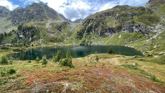 Photo from Schabsi along the tour