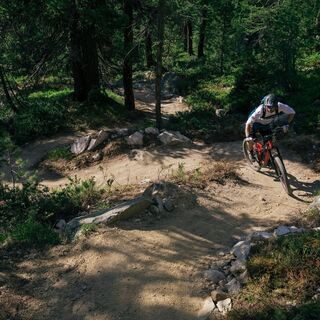 Morteratsch Trail