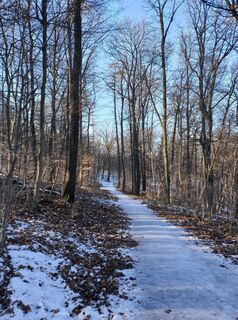 Photo de Georg B. Meier le long du parcours
