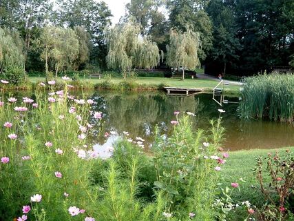 Naturbadeteich Rauch-Hof