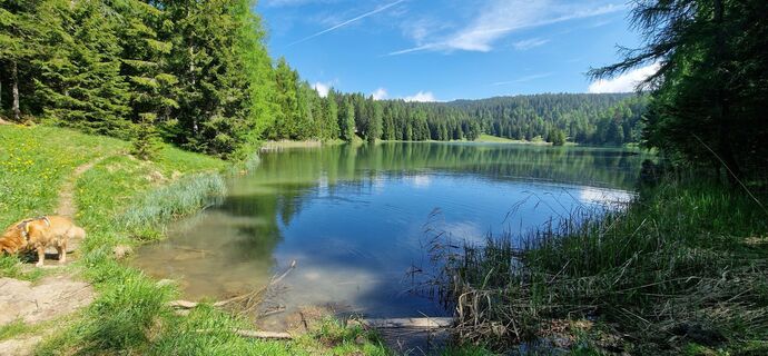 Foto da Mario Augustini lungo il tour