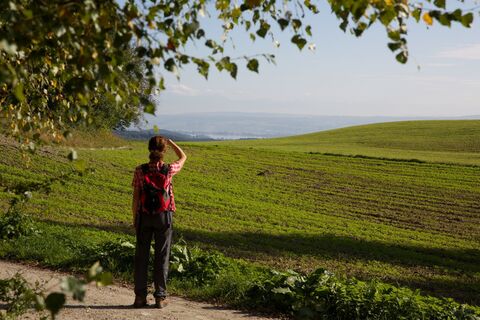 Wanderweg am Schneckenberg