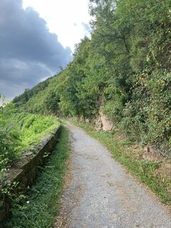 Fotografija s spletne strani Steffen Weibrecht na poti