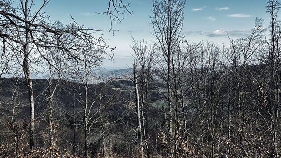 Foto von Klaus Tillmanns entlang der Tour