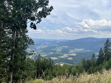 Foto von E F entlang der Tour