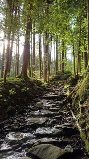 Foto de Marlyse Leu a lo largo del recorrido