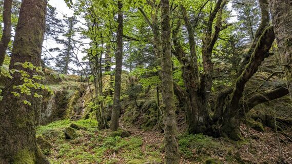 Photo de Richard Schwald le long du parcours