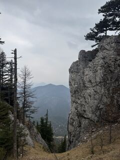 Fotografija s spletne strani zizi a na poti