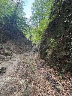 Fotografija s spletne strani Cecilia Jakab na poti