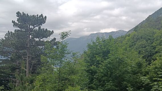 Foto von Bergpirat entlang der Tour